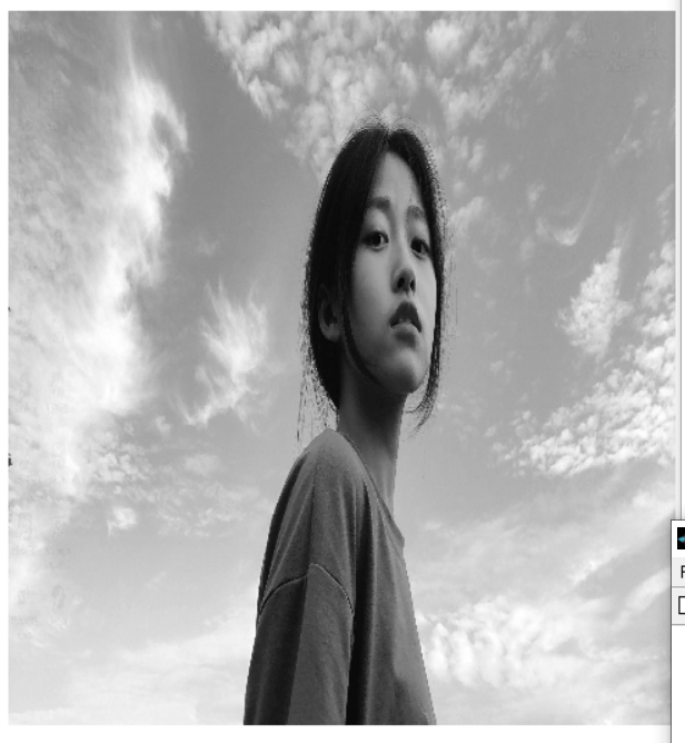 image-20211123162951154