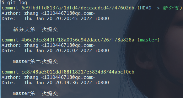 image-20220120202208789