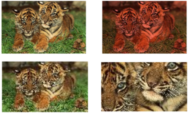 Python语言基础23